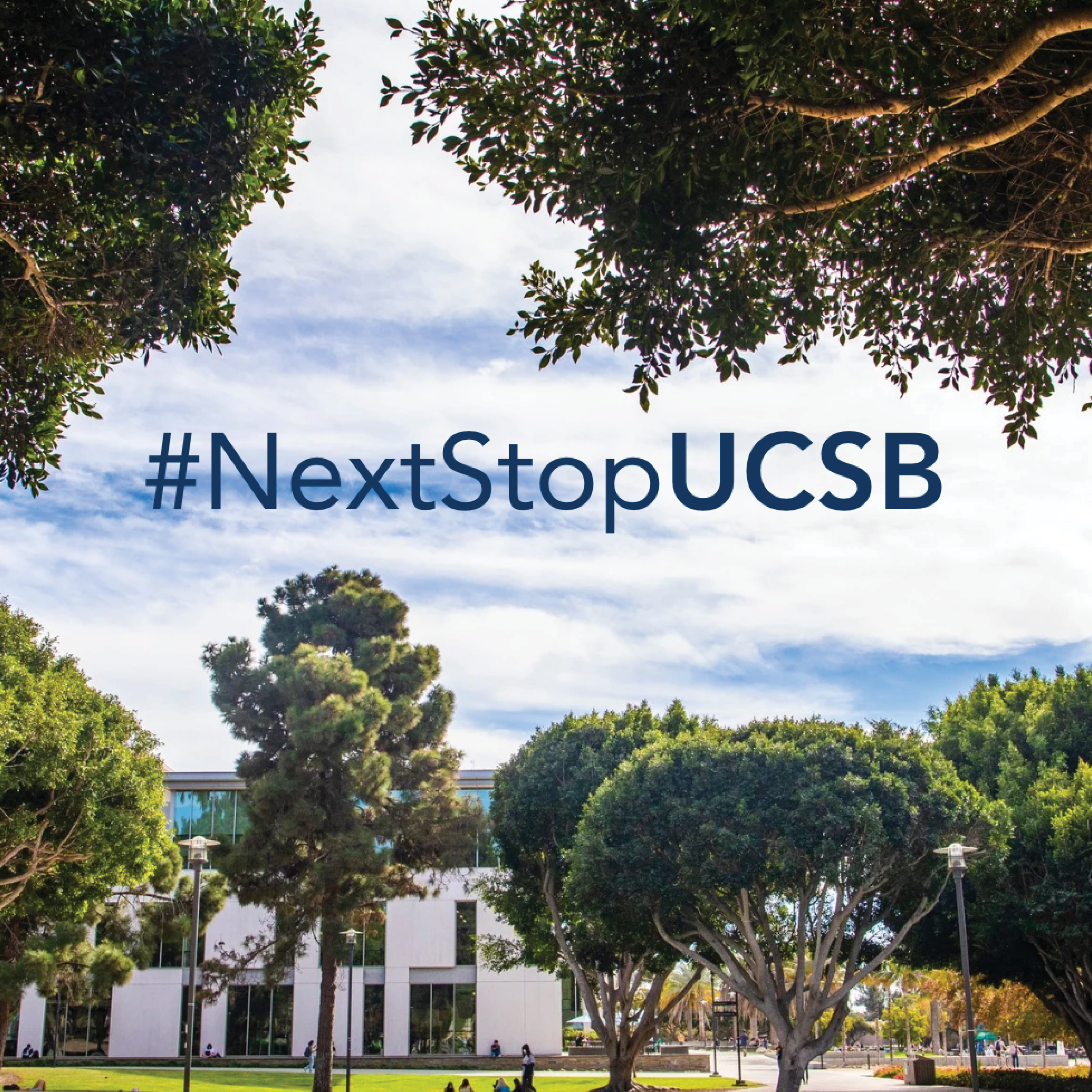 UCSB Said Yes