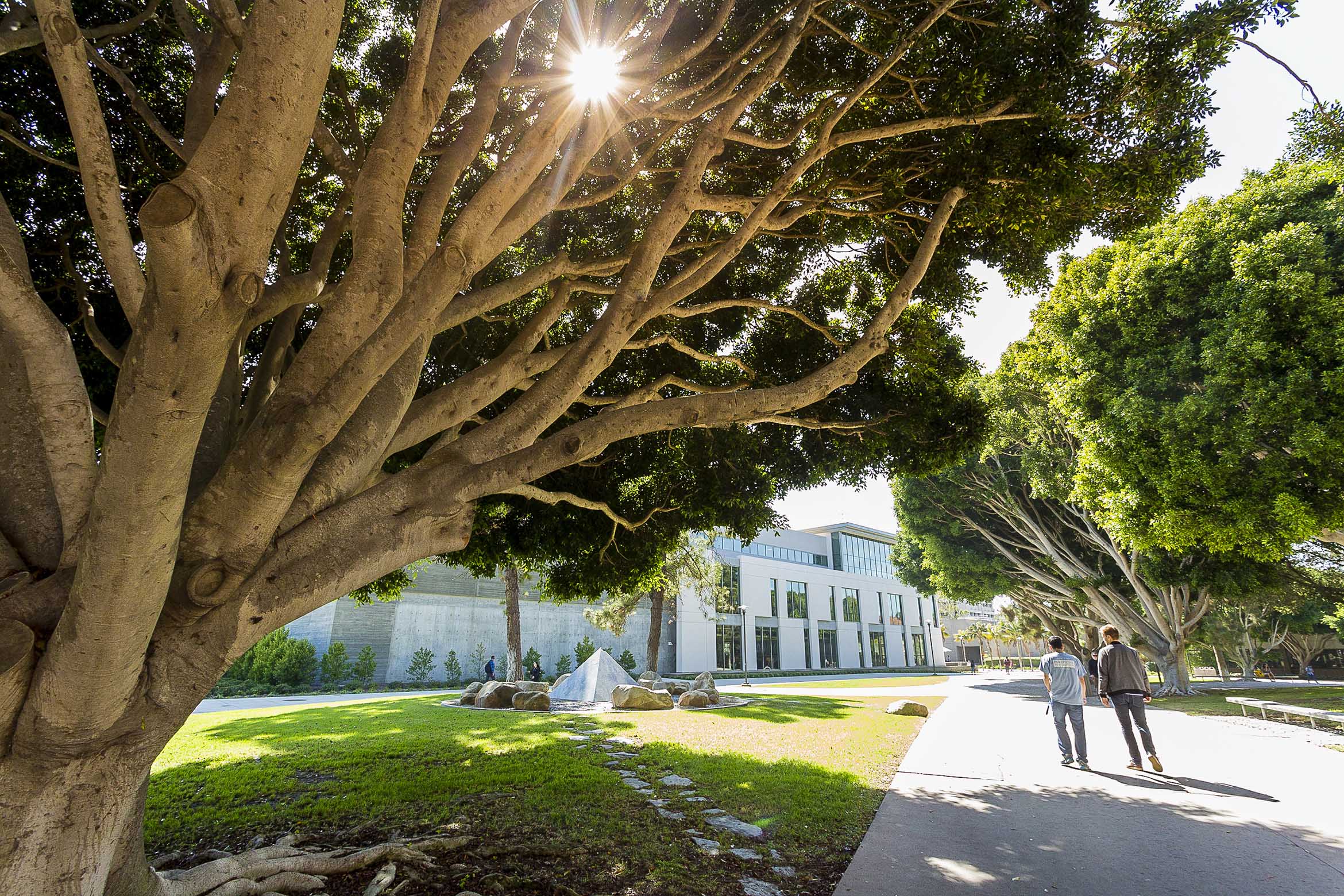 Students Walking on Campus